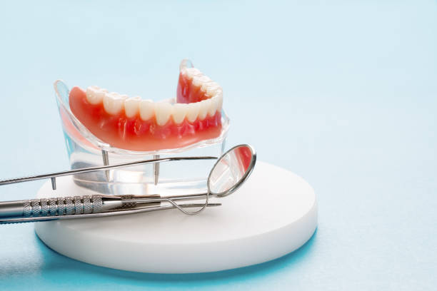 Best Preventive Dentistry  in Elm Creek, TX